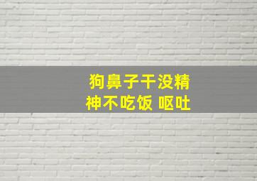 狗鼻子干没精神不吃饭 呕吐